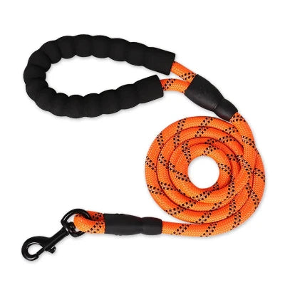 Laisse pour chien orange
