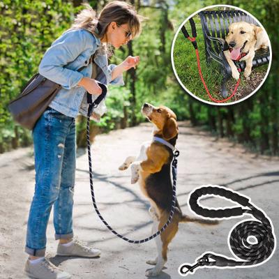laisse-pour-chien-renforcée-élégante
