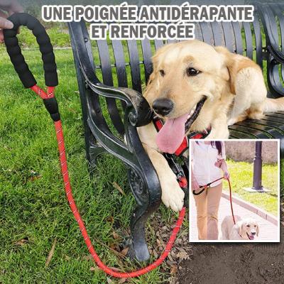 laisse-pour-chien-renforcée-confort