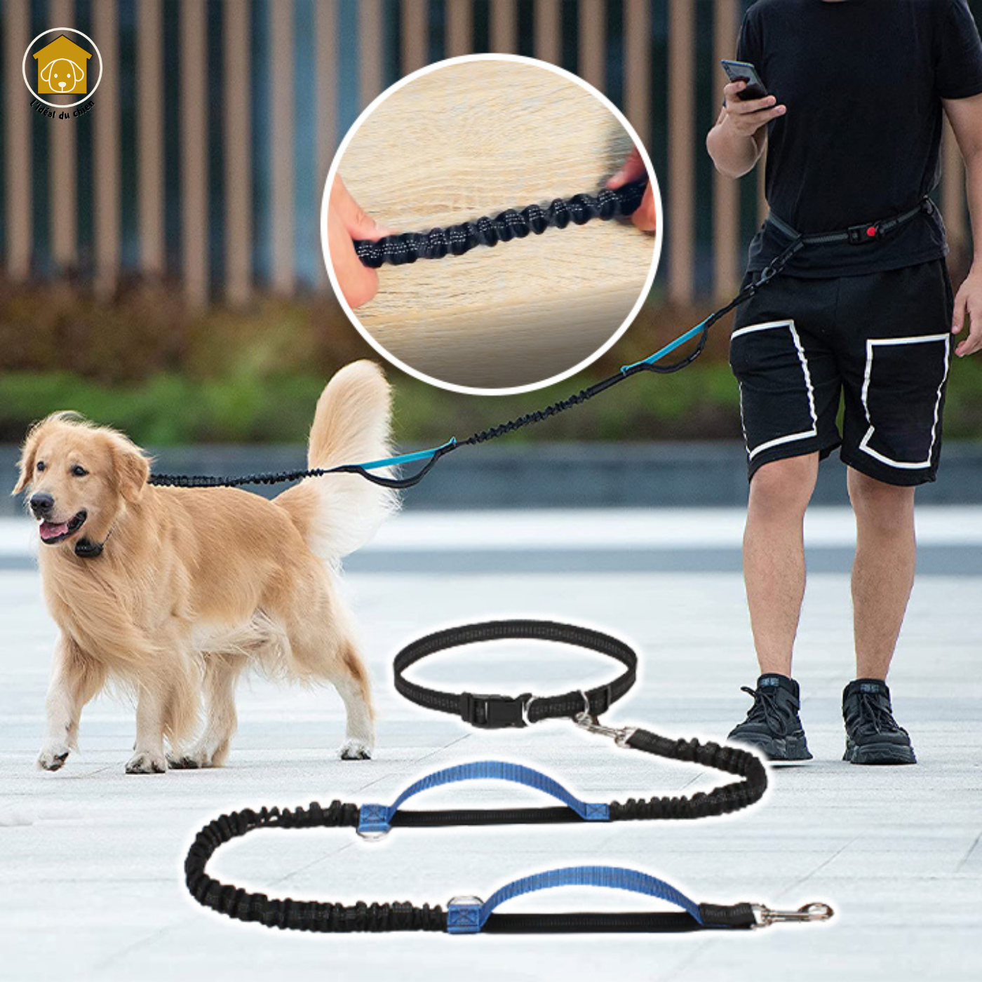 Laisse pour chien mains libres à deux poignées, RunLeash™ canicross, canirando, canivtt, canimarche