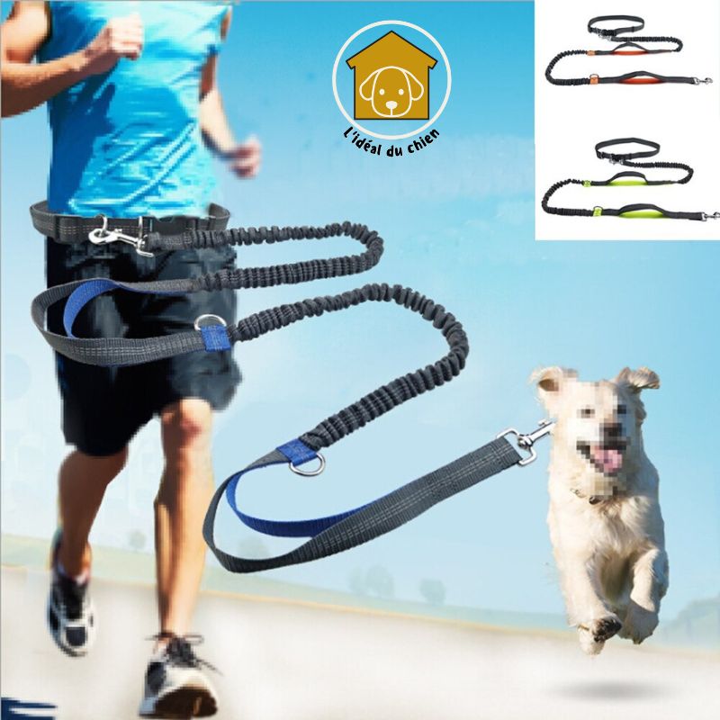 Laisse pour chien mains libres à deux poignées, RunLeash™ canicross, canirando, canivtt, canimarche