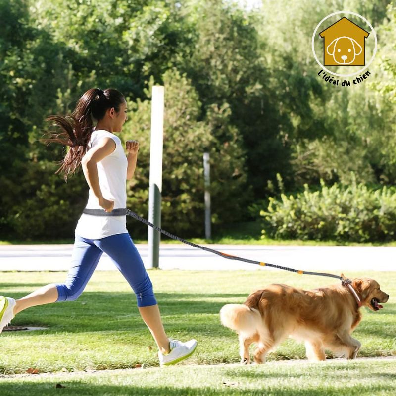 Laisse pour chien mains libres à deux poignées, RunLeash™ canicross, canirando, canivtt, canimarche