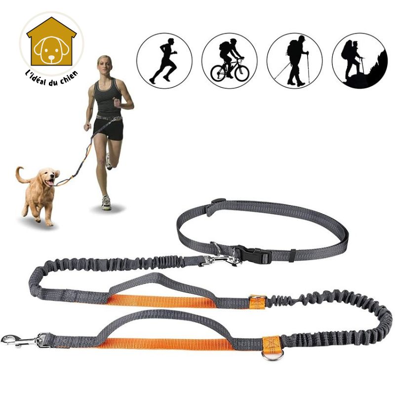 Laisse pour chien mains libres à deux poignées, RunLeash™ canicross, canirando, canivtt, canimarche