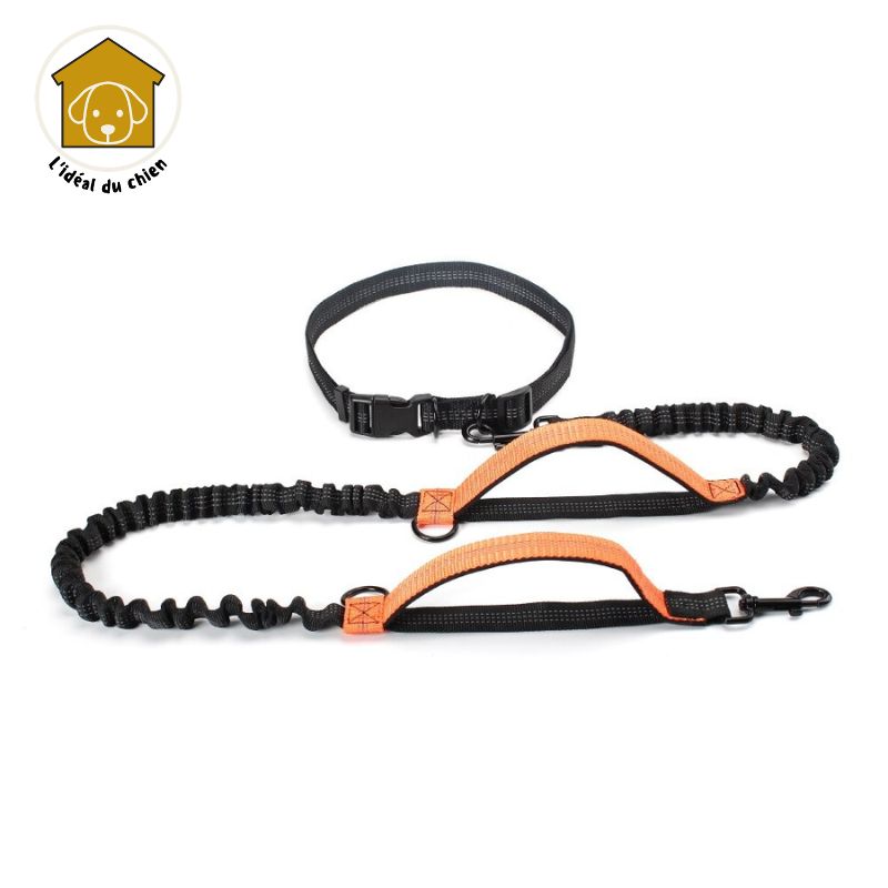 Laisse pour chien mains libres à deux poignées, RunLeash™ canicross, canirando, canivtt, canimarche