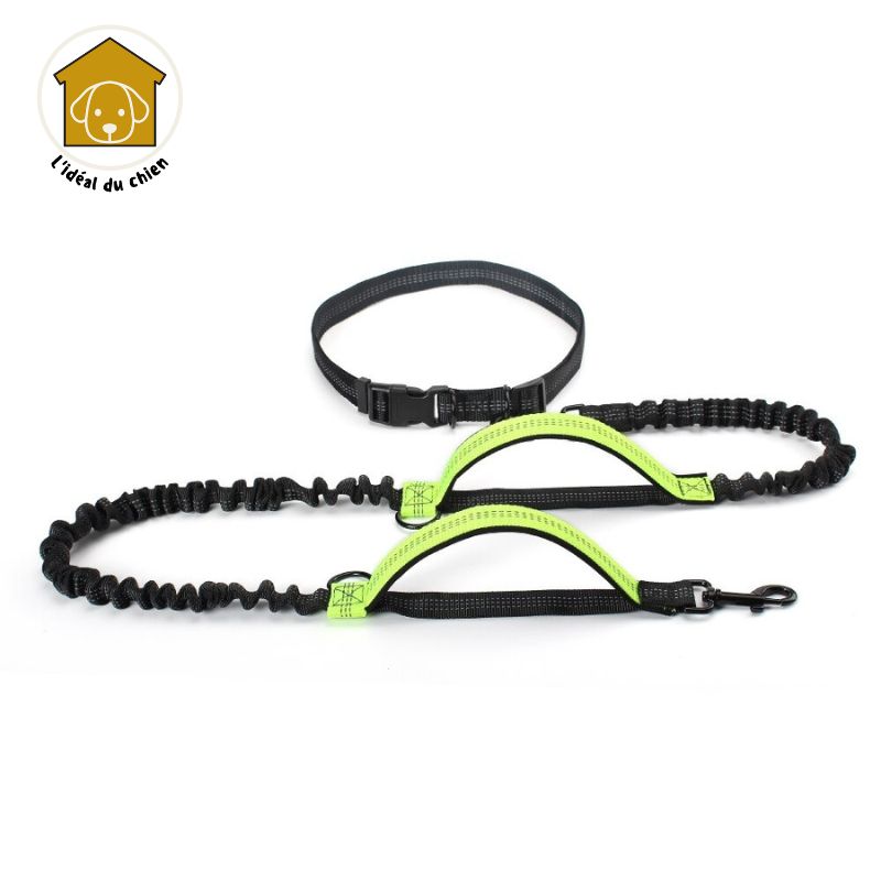 Laisse pour chien mains libres à deux poignées, RunLeash™ canicross, canirando, canivtt, canimarche