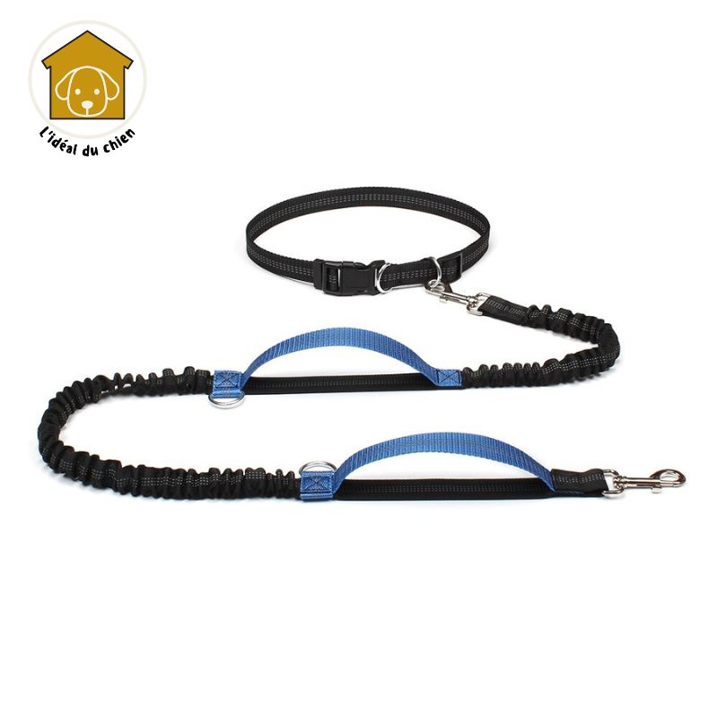 Laisse pour chien mains libres à deux poignées, RunLeash™ canicross, canirando, canivtt, canimarche