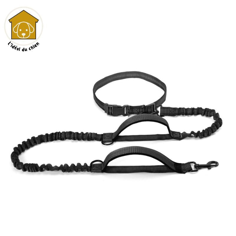 Laisse pour chien mains libres à deux poignées, RunLeash™ canicross, canirando, canivtt, canimarche