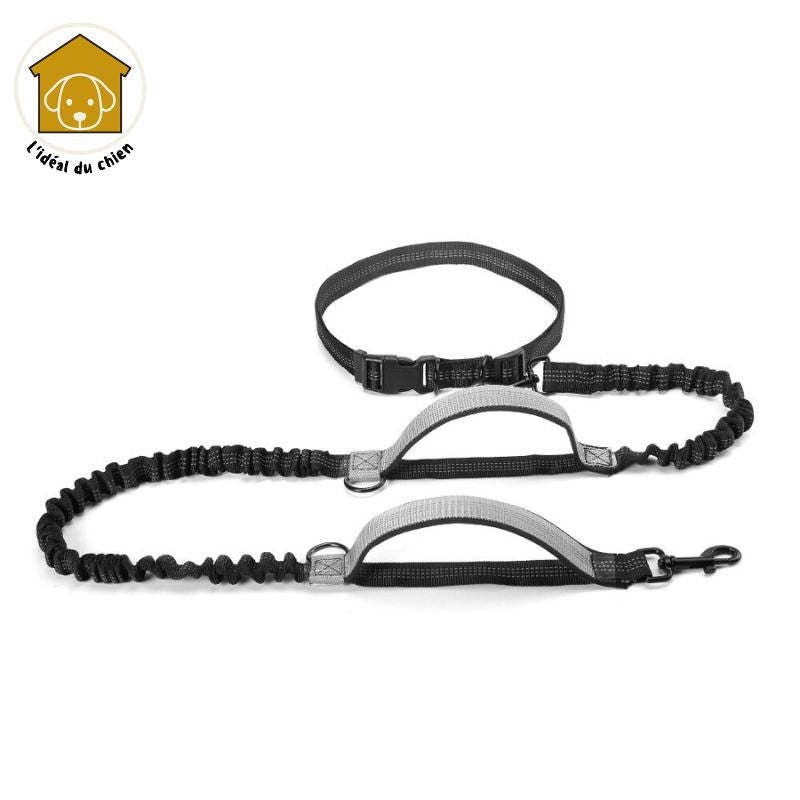 Laisse pour chien mains libres à deux poignées, RunLeash™ canicross, canirando, canivtt, canimarche